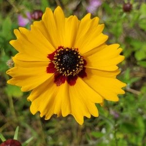 Meet your Posher, Suzann